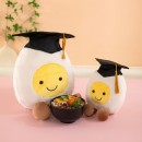 Graduation Doctor Doll