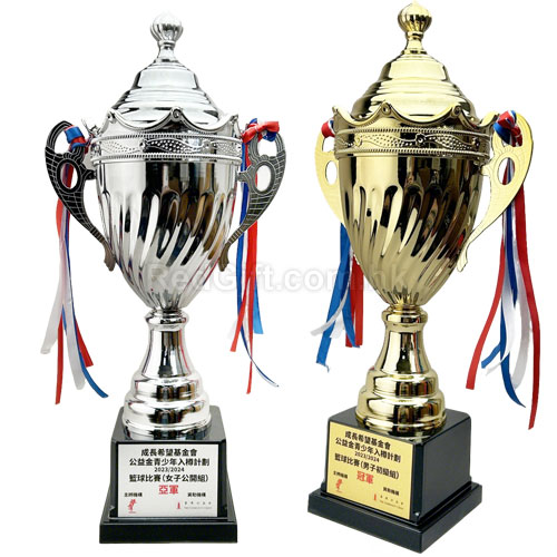 獎杯 - 紀念品